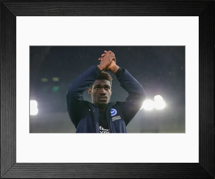Framed Print : Decisive Moment: Crystal Palace vs. Brighton & Hove Albion at Selhurst Park (16DEC19)