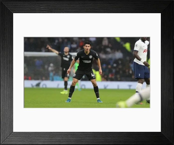 Framed Print : Premier League Showdown: Tottenham Hotspur vs. Brighton and Hove Albion (26DEC19) Framed Print : Premier League Showdown: Tottenham Hotspur vs. Brighton and Hove Albion (26DEC19)