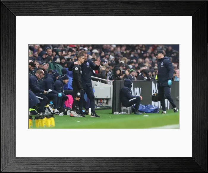 Framed Print : Premier League Showdown: Tottenham Hotspur vs. Brighton and Hove Albion (26DEC19) Framed Print : Premier League Showdown: Tottenham Hotspur vs. Brighton and Hove Albion (26DEC19)