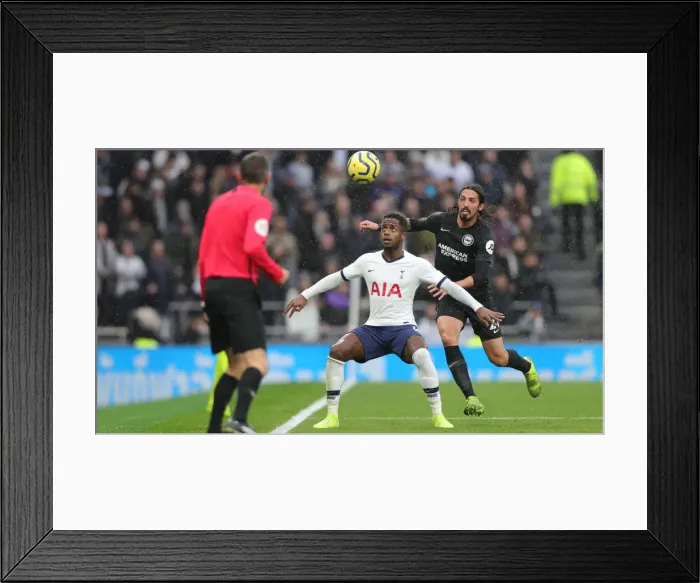 Framed Print : Premier League Showdown: Tottenham Hotspur vs. Brighton and Hove Albion (26DEC19) Framed Print : Premier League Showdown: Tottenham Hotspur vs. Brighton and Hove Albion (26DEC19)