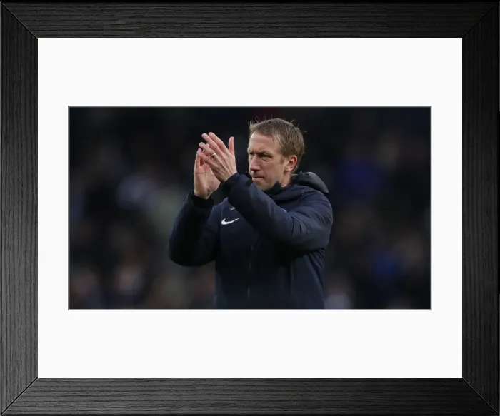 Framed Print : Tottenham Hotspur vs. Brighton and Hove Albion: A Premier League Battle at Tottenham Hotspur Stadium (26DEC19) Framed Print : Tottenham Hotspur vs. Brighton and Hove Albion: A Premier League Battle at Tottenham Hotspur Stadium (26DEC19)
