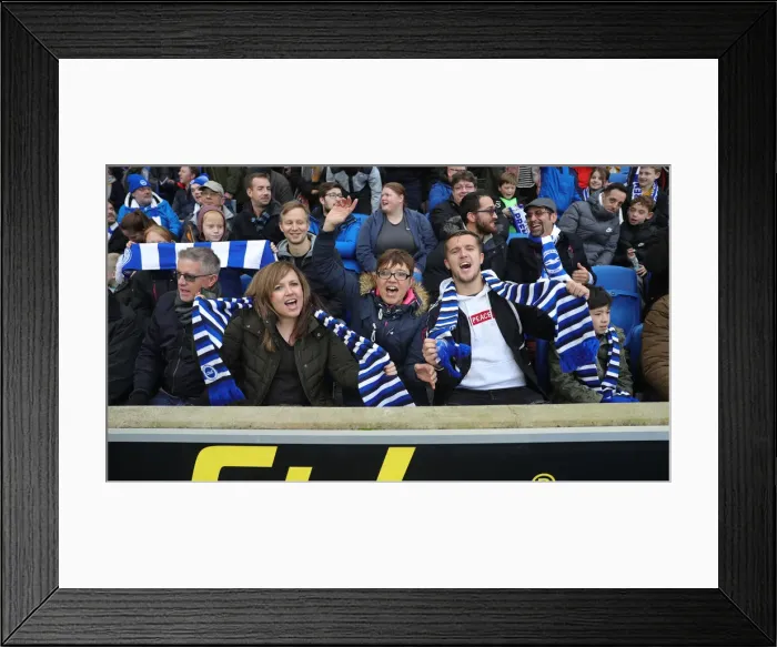 Framed Print : Brighton and Hove Albion vs Bournemouth: Premier League Battle at American Express Community Stadium (28DEC19) Framed Print : Brighton and Hove Albion vs Bournemouth: Premier League Battle at American Express Community Stadium (28DEC19)