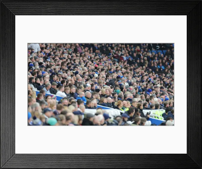 Framed Print : Premier League Showdown: Brighton & Hove Albion vs Bournemouth at American Express Community Stadium (28DEC19)