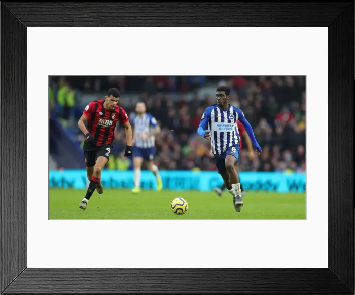 Framed Print : Premier League Showdown: Brighton & Hove Albion vs Bournemouth at American Express Community Stadium (28DEC19) Framed Print : Premier League Showdown: Brighton & Hove Albion vs Bournemouth at American Express Community Stadium (28DEC19)