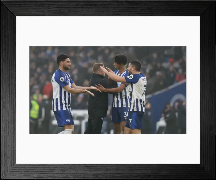 Framed Print : Premier League Showdown: Brighton & Hove Albion vs. Chelsea (01JAN20) - American Express Community Stadium