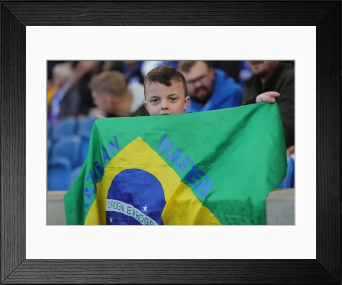 Framed Print : FA Cup 3rd Round: Brighton & Hove Albion vs. Sheffield Wednesday at American Express Community Stadium (04.01.2020) Framed Print : FA Cup 3rd Round: Brighton & Hove Albion vs. Sheffield Wednesday at American Express Community Stadium (04.01.2020)