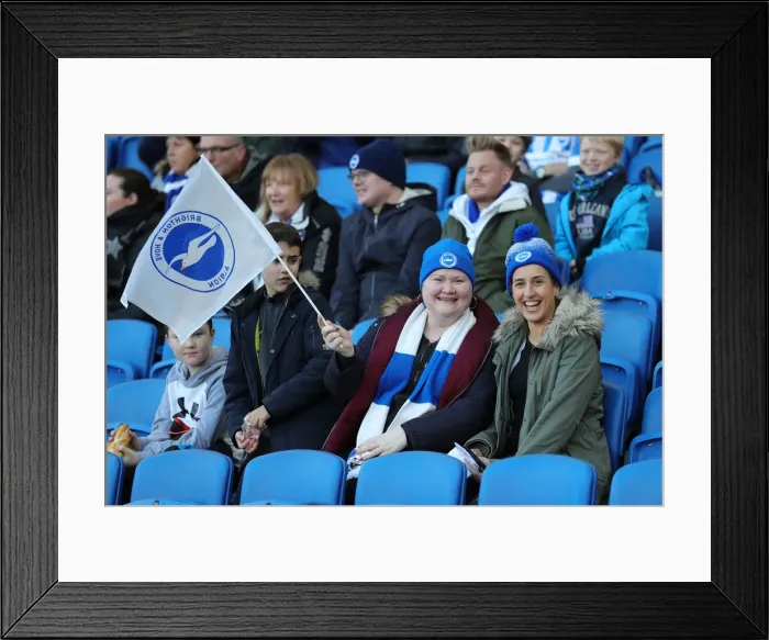 Framed Print : FA Cup Third Round: Brighton & Hove Albion vs. Sheffield Wednesday at American Express Community Stadium (04.01.20) Framed Print : FA Cup Third Round: Brighton & Hove Albion vs. Sheffield Wednesday at American Express Community Stadium (04.01.20)