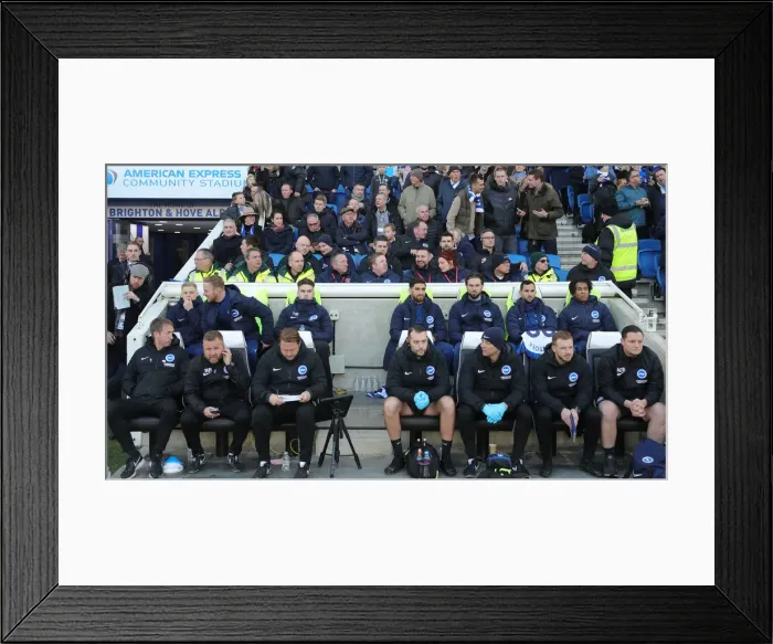 Framed Print : Brighton & Hove Albion vs. Sheffield Wednesday: FA Cup Showdown at American Express Community Stadium (04.01.20) Framed Print : Brighton & Hove Albion vs. Sheffield Wednesday: FA Cup Showdown at American Express Community Stadium (04.01.20)