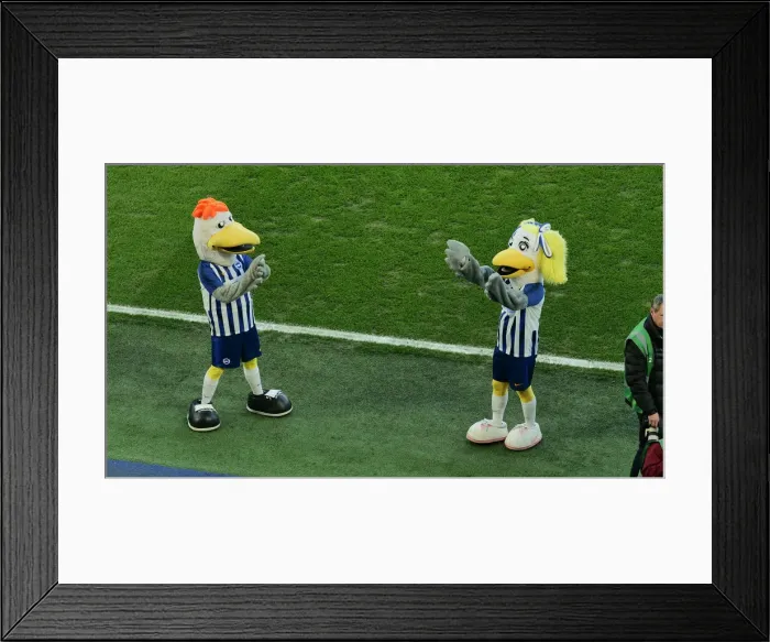 Framed Print : Brighton & Hove Albion vs. Sheffield Wednesday: FA Cup Showdown at American Express Community Stadium (04JAN20)