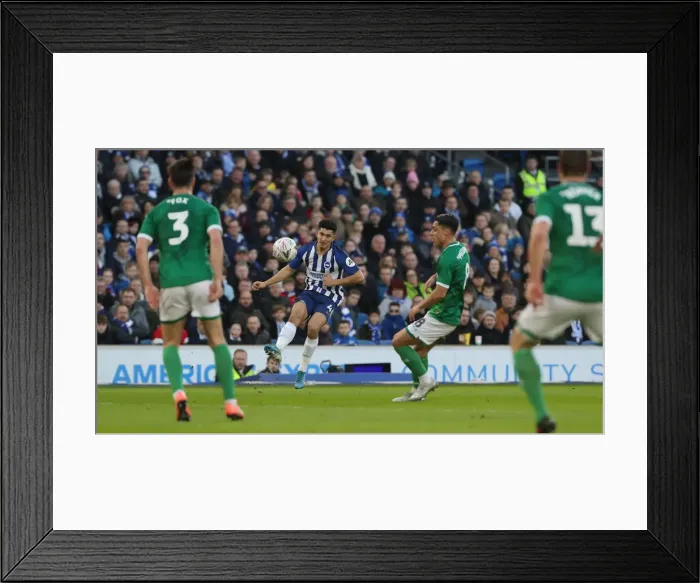 Framed Print : FA Cup Third Round: Brighton & Hove Albion vs. Sheffield Wednesday at American Express Community Stadium (04.01.20) Framed Print : FA Cup Third Round: Brighton & Hove Albion vs. Sheffield Wednesday at American Express Community Stadium (04.01.20)