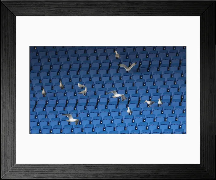 Framed Print : Brighton & Hove Albion vs. Sheffield Wednesday: FA Cup Clash at American Express Community Stadium (04JAN20) Framed Print : Brighton & Hove Albion vs. Sheffield Wednesday: FA Cup Clash at American Express Community Stadium (04JAN20)