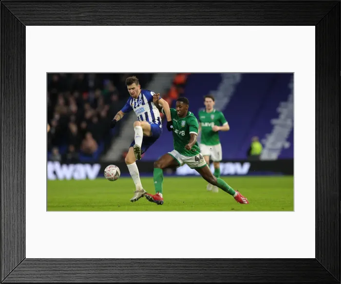 Framed Print : FA Cup 3rd Round: Brighton & Hove Albion vs. Sheffield Wednesday at American Express Community Stadium (04.01.20) Framed Print : FA Cup 3rd Round: Brighton & Hove Albion vs. Sheffield Wednesday at American Express Community Stadium (04.01.20)