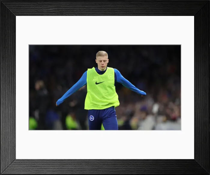 Framed Print : Brighton & Hove Albion vs. Sheffield Wednesday: FA Cup Showdown at American Express Community Stadium (04.01.20) Framed Print : Brighton & Hove Albion vs. Sheffield Wednesday: FA Cup Showdown at American Express Community Stadium (04.01.20)