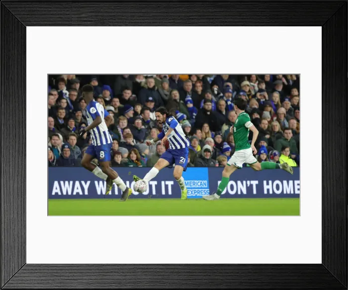 Framed Print : Brighton & Hove Albion vs. Sheffield Wednesday: FA Cup Showdown at American Express Community Stadium (04.01.20) Framed Print : Brighton & Hove Albion vs. Sheffield Wednesday: FA Cup Showdown at American Express Community Stadium (04.01.20)