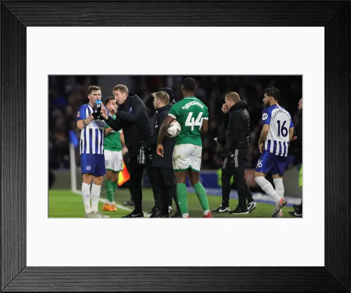 Framed Print : Brighton & Hove Albion vs. Sheffield Wednesday: FA Cup Showdown at American Express Community Stadium (04.01.20) Framed Print : Brighton & Hove Albion vs. Sheffield Wednesday: FA Cup Showdown at American Express Community Stadium (04.01.20)