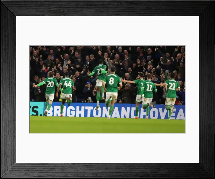 Framed Print : FA Cup 3rd Round: Brighton & Hove Albion vs. Sheffield Wednesday (04.01.20) - American Express Community Stadium Framed Print : FA Cup 3rd Round: Brighton & Hove Albion vs. Sheffield Wednesday (04.01.20) - American Express Community Stadium
