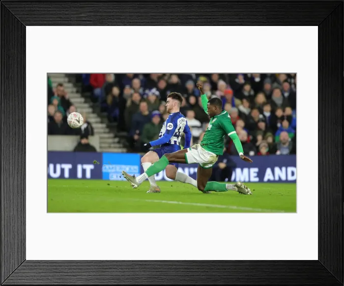 Framed Print : Brighton & Hove Albion vs. Sheffield Wednesday: FA Cup 3rd Round Clash at American Express Community Stadium (04JAN20) Framed Print : Brighton & Hove Albion vs. Sheffield Wednesday: FA Cup 3rd Round Clash at American Express Community Stadium (04JAN20)