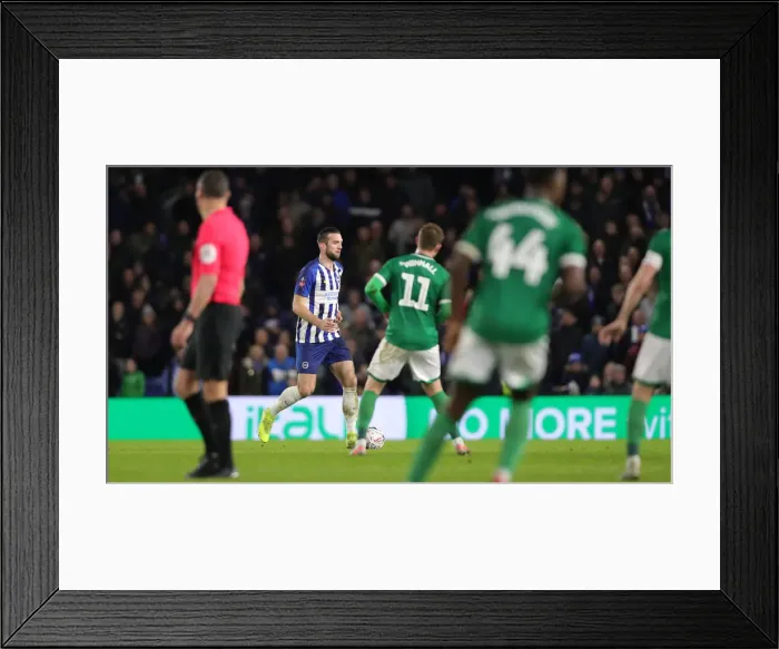 Framed Print : FA Cup 3rd Round: Brighton & Hove Albion vs. Sheffield Wednesday at American Express Community Stadium (04.01.20) Framed Print : FA Cup 3rd Round: Brighton & Hove Albion vs. Sheffield Wednesday at American Express Community Stadium (04.01.20)