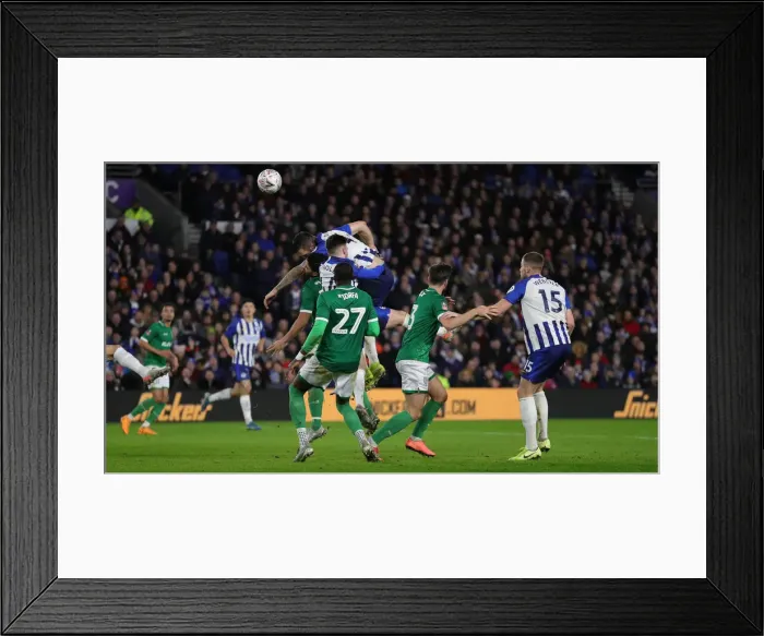 Framed Print : FA Cup 3rd Round: Brighton & Hove Albion vs. Sheffield Wednesday Showdown at American Express Community Stadium (04.01.20) Framed Print : FA Cup 3rd Round: Brighton & Hove Albion vs. Sheffield Wednesday Showdown at American Express Community Stadium (04.01.20)