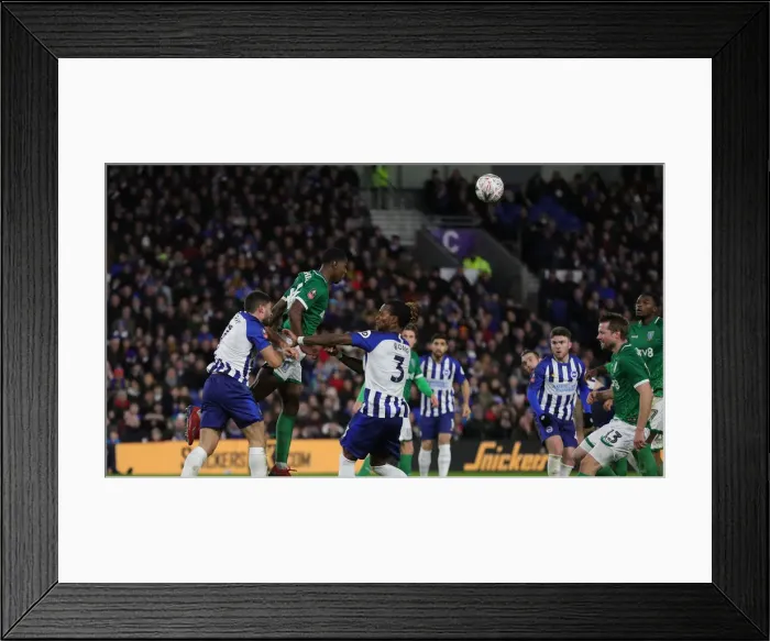 Framed Print : FA Cup 3rd Round: Brighton & Hove Albion vs. Sheffield Wednesday - American Express Community Stadium (04.01.20) Framed Print : FA Cup 3rd Round: Brighton & Hove Albion vs. Sheffield Wednesday - American Express Community Stadium (04.01.20)