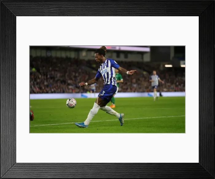 Framed Print : FA Cup Third Round: Brighton & Hove Albion vs. Sheffield Wednesday at American Express Community Stadium (04.01.20) Framed Print : FA Cup Third Round: Brighton & Hove Albion vs. Sheffield Wednesday at American Express Community Stadium (04.01.20)