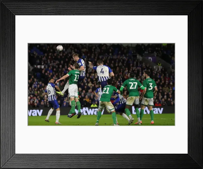 Framed Print : FA Cup Third Round: Brighton & Hove Albion vs. Sheffield Wednesday at American Express Community Stadium (04.01.20) Framed Print : FA Cup Third Round: Brighton & Hove Albion vs. Sheffield Wednesday at American Express Community Stadium (04.01.20)