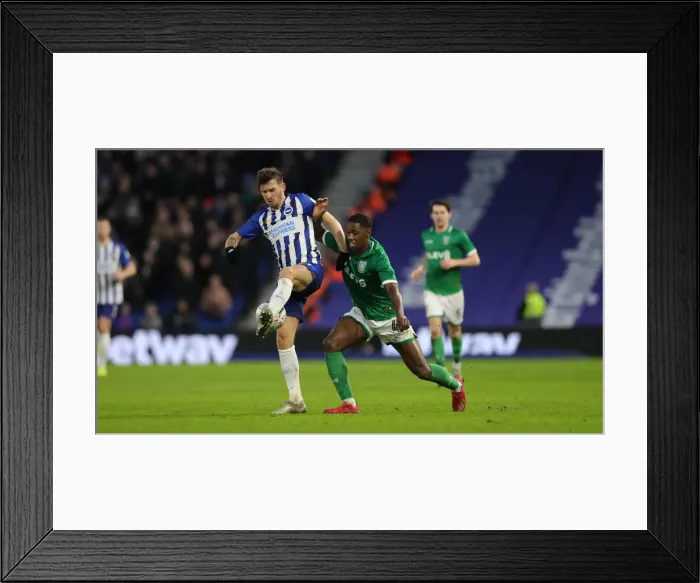 Framed Print : FA Cup 3rd Round: Brighton & Hove Albion vs. Sheffield Wednesday (04.01.20) - American Express Community Stadium Framed Print : FA Cup 3rd Round: Brighton & Hove Albion vs. Sheffield Wednesday (04.01.20) - American Express Community Stadium