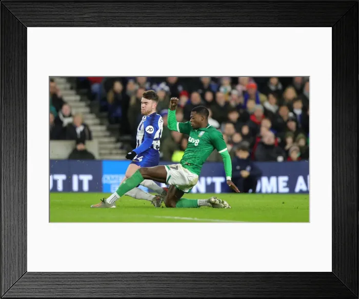 Framed Print : Brighton & Hove Albion vs. Sheffield Wednesday: FA Cup Showdown at American Express Community Stadium (04JAN20) Framed Print : Brighton & Hove Albion vs. Sheffield Wednesday: FA Cup Showdown at American Express Community Stadium (04JAN20)
