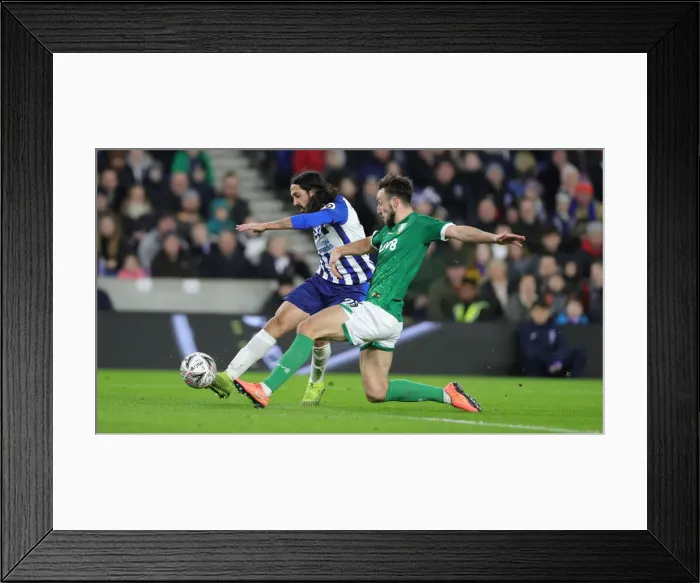 Framed Print : FA Cup 3rd Round: Brighton & Hove Albion vs. Sheffield Wednesday at American Express Community Stadium (04.01.2020) Framed Print : FA Cup 3rd Round: Brighton & Hove Albion vs. Sheffield Wednesday at American Express Community Stadium (04.01.2020)