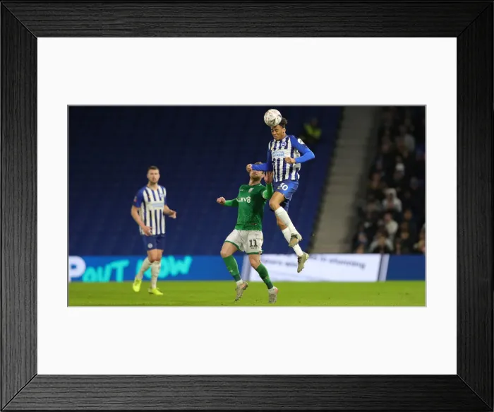 Framed Print : Brighton and Hove Albion vs. Sheffield Wednesday: FA Cup 3rd Round Battle at American Express Community Stadium (04JAN20) Framed Print : Brighton and Hove Albion vs. Sheffield Wednesday: FA Cup 3rd Round Battle at American Express Community Stadium (04JAN20)