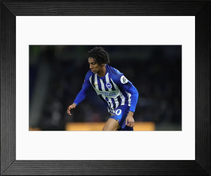 Framed Print : Brighton & Hove Albion vs. Sheffield Wednesday: FA Cup Clash at American Express Community Stadium (04JAN20) Framed Print : Brighton & Hove Albion vs. Sheffield Wednesday: FA Cup Clash at American Express Community Stadium (04JAN20)