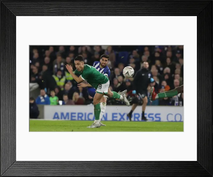 Framed Print : FA Cup Third Round: Brighton & Hove Albion vs. Sheffield Wednesday at American Express Community Stadium (04.01.20) Framed Print : FA Cup Third Round: Brighton & Hove Albion vs. Sheffield Wednesday at American Express Community Stadium (04.01.20)