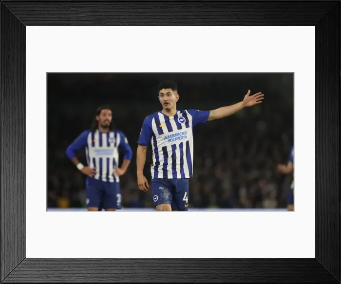 Framed Print : FA Cup 3rd Round: Brighton & Hove Albion vs. Sheffield Wednesday (04.01.20) - American Express Community Stadium Framed Print : FA Cup 3rd Round: Brighton & Hove Albion vs. Sheffield Wednesday (04.01.20) - American Express Community Stadium