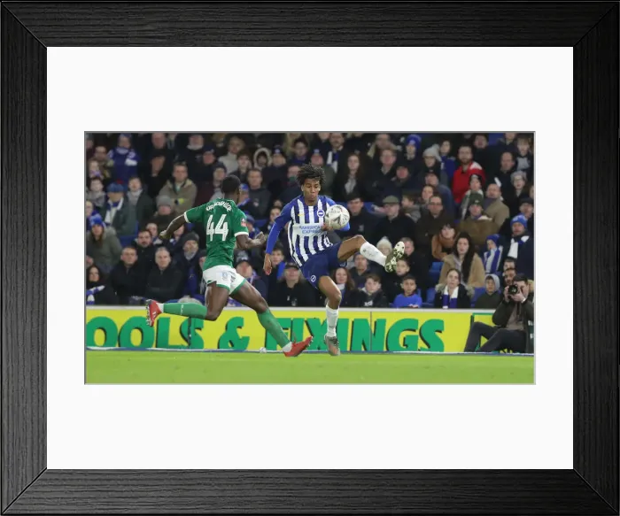 Framed Print : FA Cup 3rd Round: Brighton & Hove Albion vs. Sheffield Wednesday at American Express Community Stadium (04.01.2020) Framed Print : FA Cup 3rd Round: Brighton & Hove Albion vs. Sheffield Wednesday at American Express Community Stadium (04.01.2020)