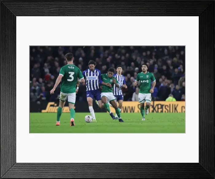 Framed Print : Brighton & Hove Albion vs. Sheffield Wednesday: FA Cup Battle at American Express Community Stadium (04.01.20) Framed Print : Brighton & Hove Albion vs. Sheffield Wednesday: FA Cup Battle at American Express Community Stadium (04.01.20)