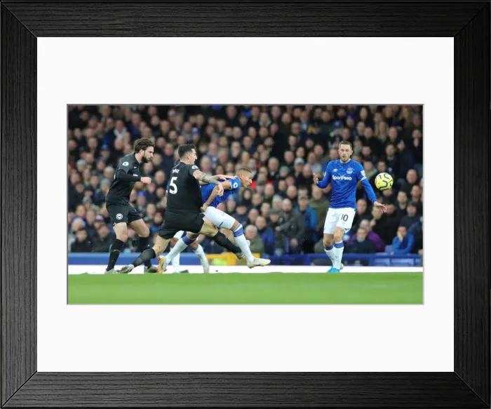 Framed Print : Eleventh January 2020: Premier League Battle - Everton vs. Brighton and Hove Albion at Goodison Park Framed Print : Eleventh January 2020: Premier League Battle - Everton vs. Brighton and Hove Albion at Goodison Park