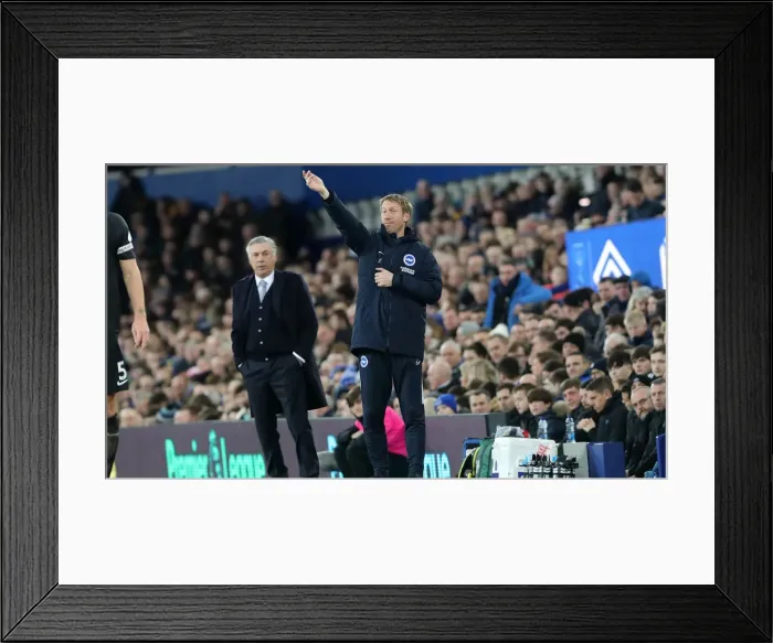 Framed Print : Premier League Showdown: Everton vs. Brighton and Hove Albion at Goodison Park (11JAN20) Framed Print : Premier League Showdown: Everton vs. Brighton and Hove Albion at Goodison Park (11JAN20)