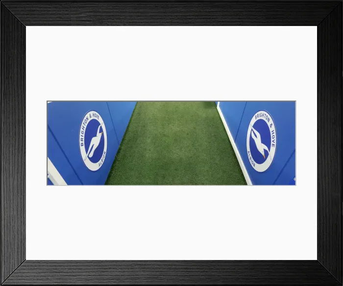 Framed Print : Brighton and Hove Albion vs. Aston Villa: Premier League Showdown at American Express Community Stadium (January 18, 2020) Framed Print : Brighton and Hove Albion vs. Aston Villa: Premier League Showdown at American Express Community Stadium (January 18, 2020)