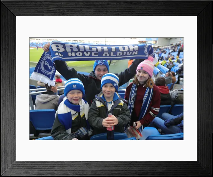 Framed Print : Brighton and Hove Albion vs. Aston Villa: January Showdown in the Premier League (18th Jan 2020) Framed Print : Brighton and Hove Albion vs. Aston Villa: January Showdown in the Premier League (18th Jan 2020)