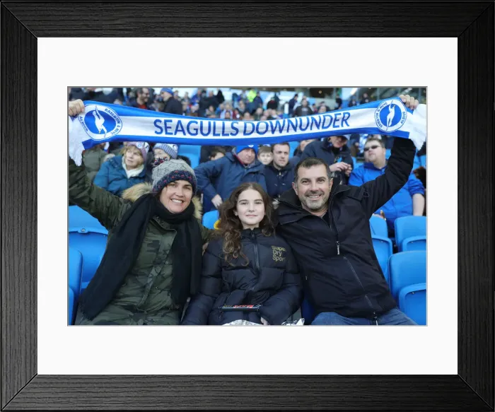 Framed Print : Brighton and Hove Albion vs. Aston Villa: A Premier League Clash at American Express Community Stadium (18th January 2020) Framed Print : Brighton and Hove Albion vs. Aston Villa: A Premier League Clash at American Express Community Stadium (18th January 2020)