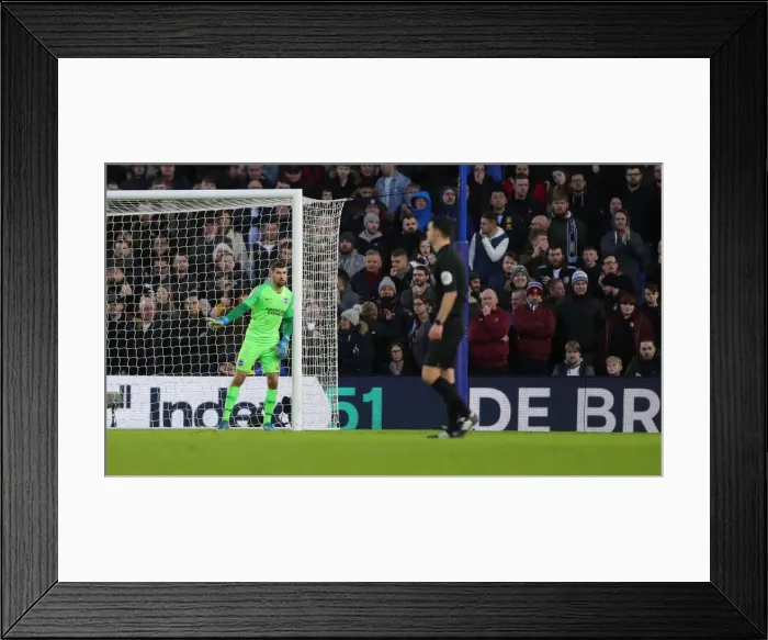 Framed Print : Brighton and Hove Albion vs. Aston Villa: January Showdown in the Premier League (18th Jan 2020) Framed Print : Brighton and Hove Albion vs. Aston Villa: January Showdown in the Premier League (18th Jan 2020)