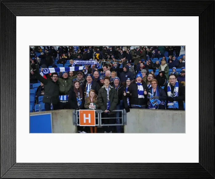 Framed Print : Brighton and Hove Albion vs. Aston Villa: A Premier League Clash at American Express Community Stadium (18th January 2020) Framed Print : Brighton and Hove Albion vs. Aston Villa: A Premier League Clash at American Express Community Stadium (18th January 2020)