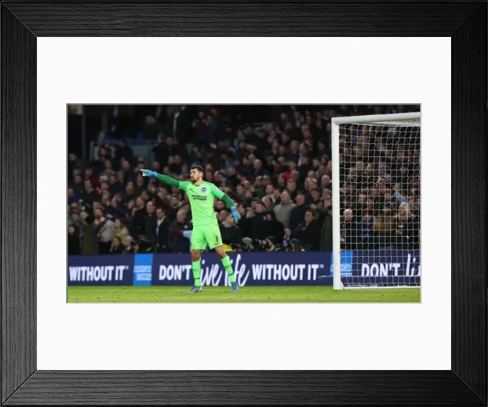 Framed Print : Brighton and Hove Albion vs. Aston Villa: A Premier League Clash at American Express Community Stadium (January 18, 2020) Framed Print : Brighton and Hove Albion vs. Aston Villa: A Premier League Clash at American Express Community Stadium (January 18, 2020)