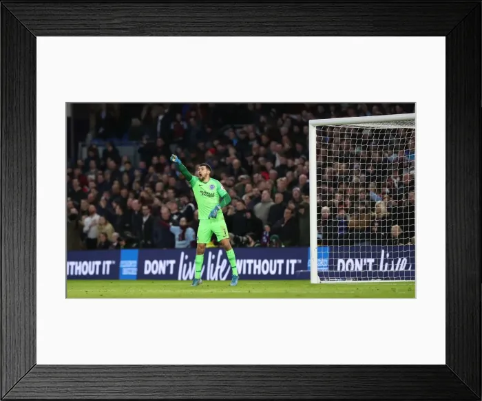 Framed Print : Brighton and Hove Albion vs. Aston Villa: A Premier League Clash at American Express Community Stadium (January 18, 2020) Framed Print : Brighton and Hove Albion vs. Aston Villa: A Premier League Clash at American Express Community Stadium (January 18, 2020)
