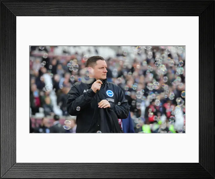 Framed Print : Premier League Showdown: Brighton and Hove Albion vs. West Ham United at London Stadium (01FEB20) Framed Print : Premier League Showdown: Brighton and Hove Albion vs. West Ham United at London Stadium (01FEB20)