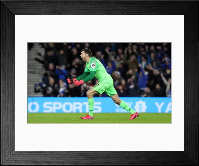 Framed Print : Brighton and Hove Albion vs. Watford: Premier League Showdown at American Express Community Stadium (08FEB20) Framed Print : Brighton and Hove Albion vs. Watford: Premier League Showdown at American Express Community Stadium (08FEB20)