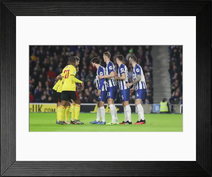 Framed Print : Brighton and Hove Albion vs. Watford: Premier League Showdown at American Express Community Stadium (08FEB20) Framed Print : Brighton and Hove Albion vs. Watford: Premier League Showdown at American Express Community Stadium (08FEB20)