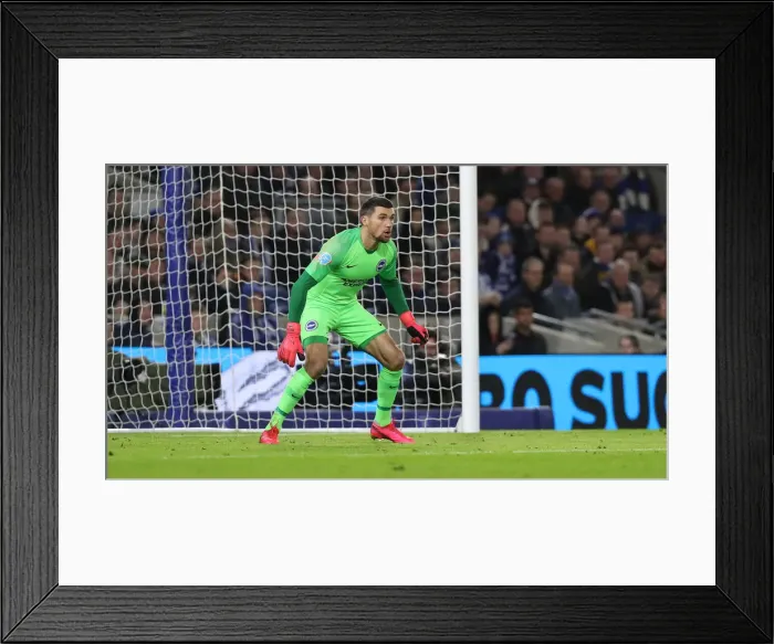 Framed Print : Brighton and Hove Albion vs. Watford: Premier League Showdown at American Express Community Stadium (08FEB20) Framed Print : Brighton and Hove Albion vs. Watford: Premier League Showdown at American Express Community Stadium (08FEB20)