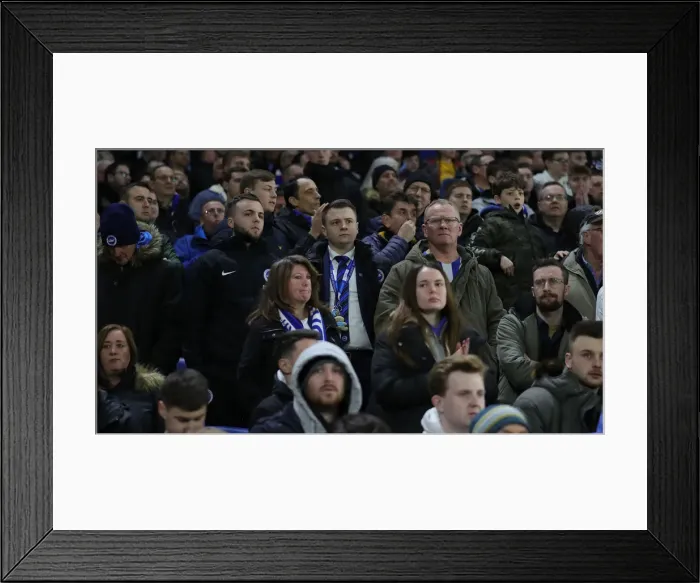 Framed Print : Brighton and Hove Albion vs. Watford: A Premier League Clash at American Express Community Stadium (08.02.20) Framed Print : Brighton and Hove Albion vs. Watford: A Premier League Clash at American Express Community Stadium (08.02.20)