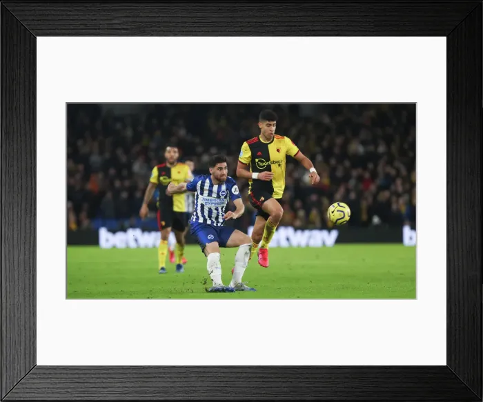 Framed Print : Brighton and Hove Albion vs. Watford: A Premier League Clash at American Express Community Stadium (08FEB20) Framed Print : Brighton and Hove Albion vs. Watford: A Premier League Clash at American Express Community Stadium (08FEB20)
